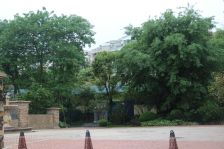 青秀区托斯卡那 纯别墅区独栋大别墅 前后大花园