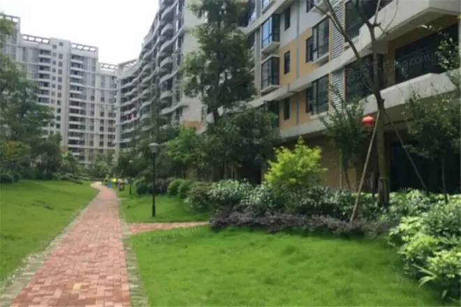 香江紫钻实景图
