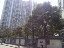 近地铁,满五 无抵押,电梯房,店长力推