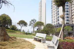 湘江边天然氧吧公园旁刚需户型急售满五唯一