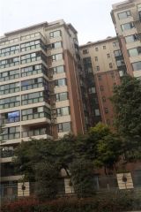 美洲花园棕榈湾 2室1厅 西南