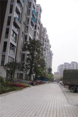 花涧坊A区 3室2厅 西南