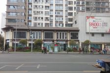 城置尚豪庭2室1厅东南