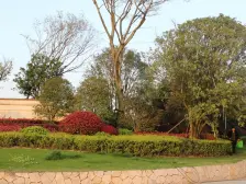 户型端正采光充足,精装修业主诚心出售