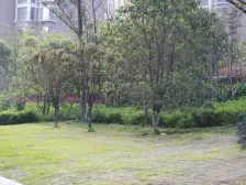 汇仁阳光花园一期 南北通透,采光好 装修好,环镜优美 近地铁 周边匹套完善,,出行方便