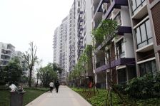 碧园南城故事。