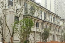 龙湖湘风原著A3区8室3厅南