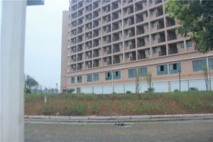 楠熙筱苑3室2厅南北