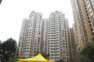 高家庄赞城 1室1厅 西北