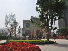 悦龙山 3室2厅 东南