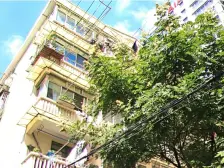 栾树下儿郎朗读忙,南北两房一厅祝您开启美好人生!