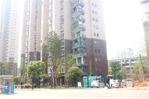 带仰天湖拎包入住楼层好视野好
