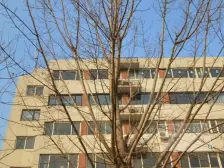 新上 元谷花园 顶跃大户型 5室2厅 改善必选