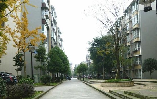 小区相关图