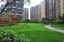 华侨凤凰国际城4室2厅东南