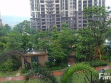 三房刚需户型,毛坯,望江,南向,产权清晰,随时可看