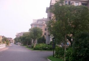 琴海居 2室1厅 南 北