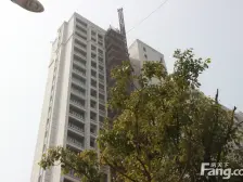 电梯洋房 好楼层 采光好 近地铁7号线