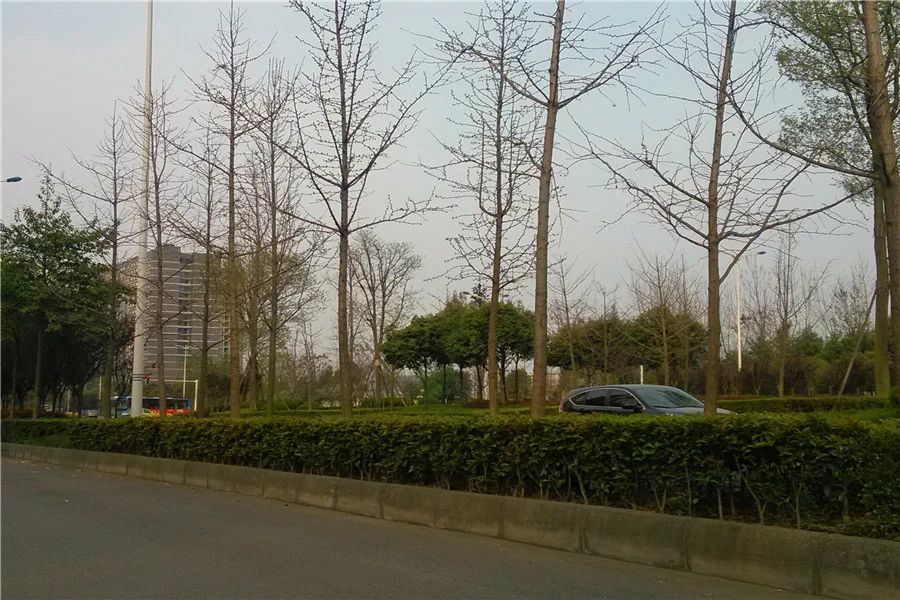 小区相关图