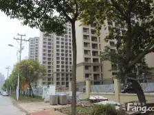 急 卖 急卖太湖新城伟业迎春乐家 3室 边户全明户型