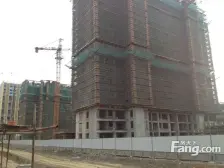 新上房源!龙湖旁户型好!楼龄新!