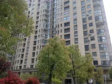 世纪大道旁金色城品好房出售.。。。