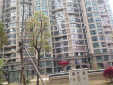 金色城品 3室2厅 南