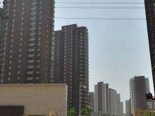 泽惠园社区3室1厅南北