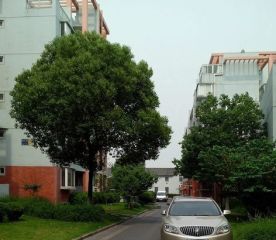 楼层好精装修保养清通诚心出售