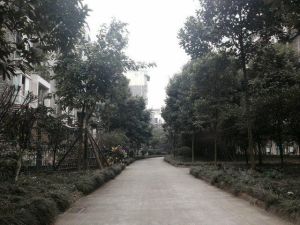 西蜀名居小区4室2厅东南南