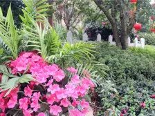 湘潭碧桂园 2室2厅 南