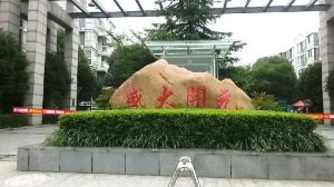 盛大开元3室2厅南