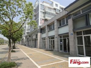 盛大开元小平方单身公寓双振东