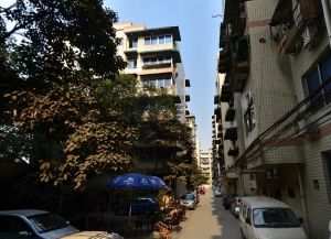 群康路50号 2室2厅 南