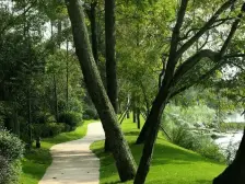 中海右岸二期 2室1厅 南