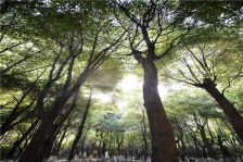 电梯房,通风好产权清晰新上房源