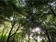 三期,六恒系统居住舒适,视野超好,天然氧吧