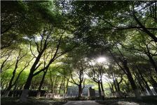 精装修两房两卫,出门即是商业