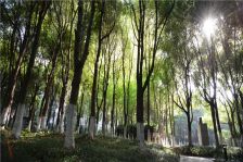 电梯房,大开间,品质小区,精装修,带中央空调,带地暖