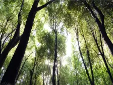 一生只搬一次家 德式科技住宅环保品质 中鹰精致1房