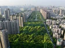 中鹰黑森林 1室2厅 南