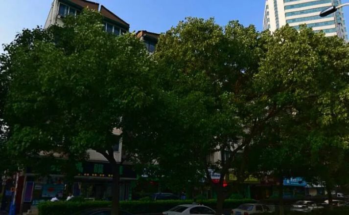 茅廊巷小区实景图