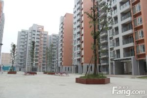 弘康馨居1室1厅东南