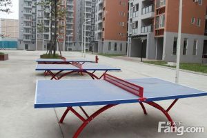 弘康馨居 1室1厅 东南 南