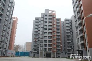 弘康馨居1室1厅东南