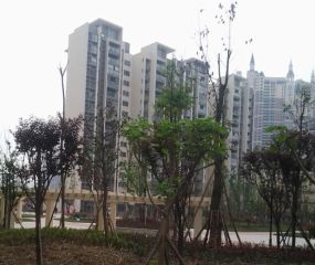 新怡花园B区 3室2厅 北