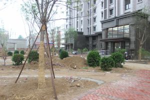 此房免大税,落地窗,全天采光无遮挡