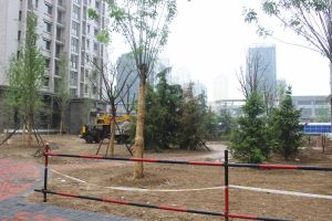 中科紫峰毛坯两居高层采光无遮挡免双税钥匙随时看房