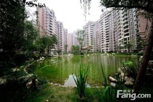 黄金时代(高新区) 3室2厅 北