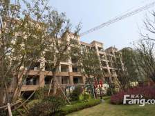 松陵·金科廊桥水岸·4室·2厅